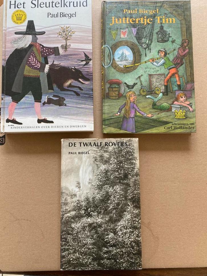 3 Hardcovers Paul Biegel - vrij zeldzaam, Boeken, Kinderboeken | Jeugd | onder 10 jaar, Fictie algemeen, Zo goed als nieuw, Ophalen of Verzenden