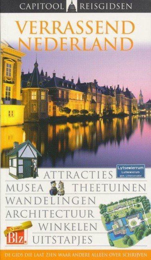 Capitool Verrassend Nederland 9789041024367, Boeken, Reisgidsen, Zo goed als nieuw, Verzenden