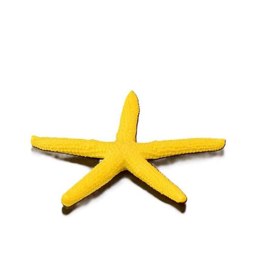 Zeester geel 6cm /  Aquarium decoratie As-278 (Hardscaping ), Dieren en Toebehoren, Vissen | Aquaria en Toebehoren, Nieuw, Verzenden