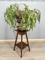 Art Deco eikenhouten plantentafel met onderblad -