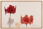 Erik Andriesse (1957-1993) - Dennis met amaryllis