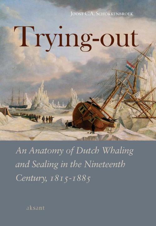 Trying-Out 9789052602837 J.C.A. Schokkenbroek, Boeken, Taal | Engels, Zo goed als nieuw, Verzenden