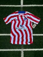 Atlético Madrid - Spaanse voetbal competitie - Antoine, Nieuw