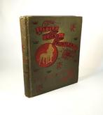 Frances Hodgson Burnett /Reginald Birch - Little Lord