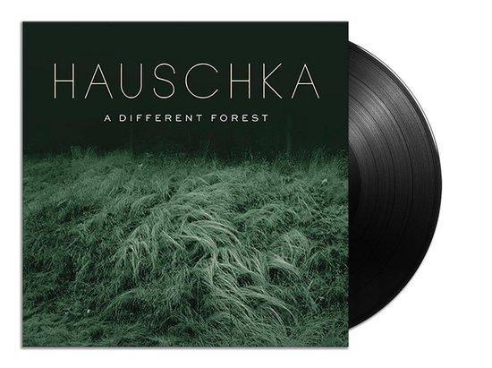 Hauschka - A Different Forest (LP), Cd's en Dvd's, Vinyl | Overige Vinyl, Verzenden