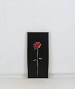 Thomas Heesakkers (1946) - Roos