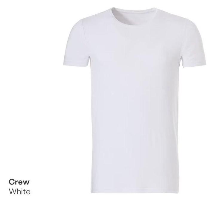 2dekans | Ten Cate Heren T-shirt – Maat L – Bamboe – Wit –, Kleding | Heren, T-shirts, Zo goed als nieuw, Maat 52/54 (L), Ophalen of Verzenden