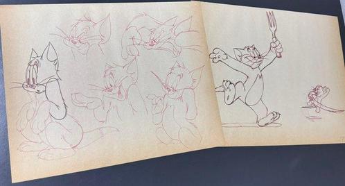 MGM (1963) - 2 x animatietekeningen, gelimiteerde editie, Cd's en Dvd's, Dvd's | Tekenfilms en Animatie