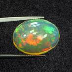 1 pcs Wit Opaal - 11.92 ct - nternational Colored Gemstone, Nieuw