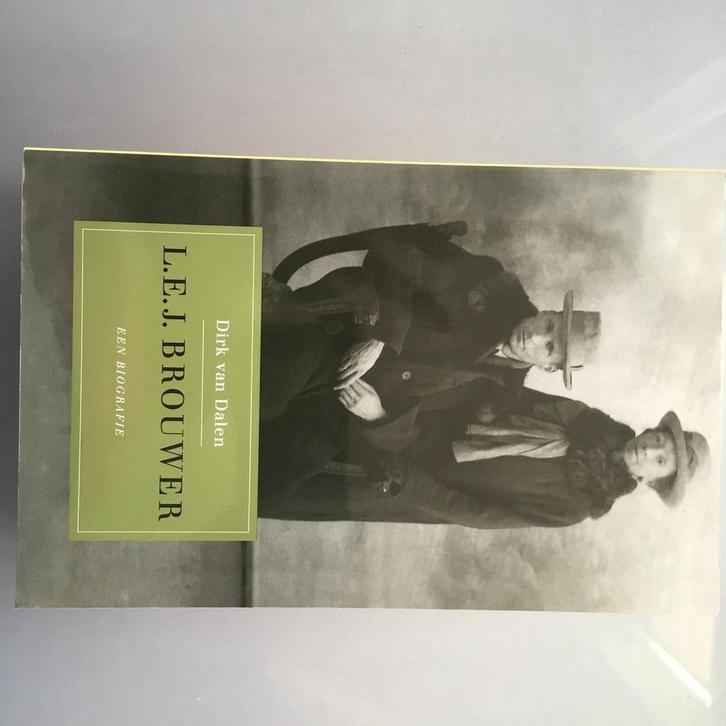 L.E.J. Brouwer 1881-1966 9789035124820 D. van Dalen, Boeken, Overige Boeken, Zo goed als nieuw, Verzenden