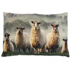 groot kussen fluweel schapen in gras 40x60cm, Huis en Inrichting, Verzenden, Nieuw