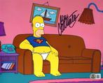 The Simpsons - Homer Simpson (Original Voice Dan, Nieuw in verpakking