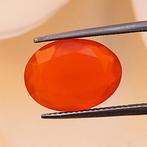 Zonder Minimumprijs Oranje Vuuropaal - 4.87 ct - Antwerp, Sieraden, Tassen en Uiterlijk, Edelstenen, Nieuw