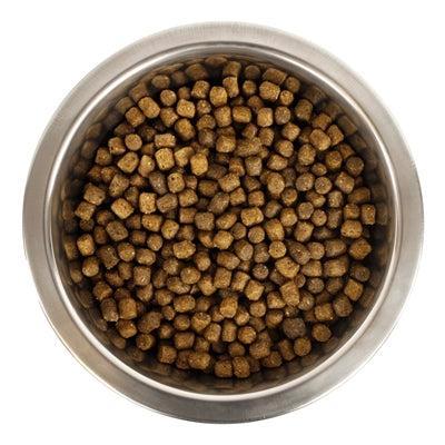 Yourdog Dwerg- Of Toypoedel Pup - 6 KG (407148), Dieren en Toebehoren, Dierenvoeding, Verzenden