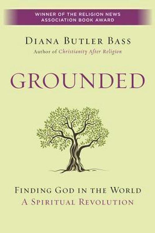 9780062328564 Grounded Diana Butler Bass, Boeken, Studieboeken en Cursussen, Nieuw, Verzenden