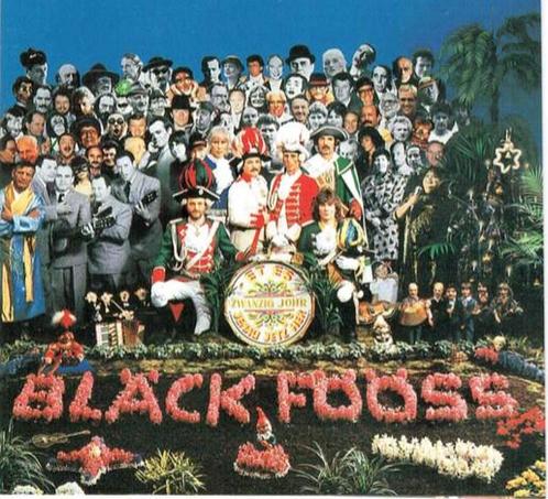 cd - BlÃ¤ck FÃ¶Ã¶ss - Et Es Zwanzig Johr Jenau Jetz He, Cd's en Dvd's, Cd's | Overige Cd's, Zo goed als nieuw, Verzenden