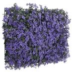 Hek met kunstbladeren6 st 40x60 cm paars (Tuinieren), Nieuw, Verzenden