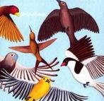 cd - Brokeback - Looks At The Bird, Verzenden, Zo goed als nieuw