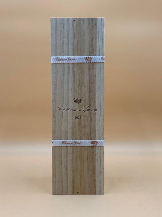 2022 Château dYquem - Sauternes 1er Cru Supérieur - 1 Fles, Verzamelen, Wijnen