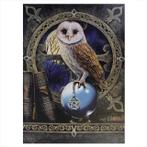 Canvas 50x70cm - Spell Keeper - Lisa Parker