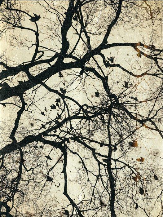 Jorge Omeñaca (1981) - Neuronal, Antiek en Kunst, Kunst | Designobjecten