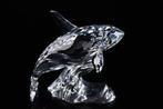 Figuur - Swarovski - Orka (Boxed + certificate) - Kristal