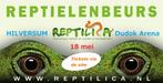 Reptilica reptielenbeurs HILVERSUM 18 mei 2025, Dieren en Toebehoren, Reptielen en Amfibieën