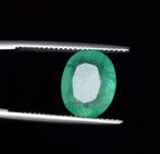 Zonder Minimumprijs - 1 pcs Groen Beril - 10.05 ct - Gem, Sieraden, Tassen en Uiterlijk, Edelstenen, Nieuw