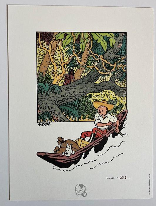 Tintin - LOreille Cassée - 1 Lithografie - 2003, Boeken, Stripboeken