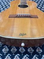 Höfner - Parlour - - Klassieke gitaar - Duitsland - 1960, Nieuw
