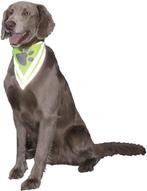 Nobby veiligheidsbandana reflecterend max. 43 cm groen 45 cm, Dieren en Toebehoren, Honden-accessoires, Nieuw, Verzenden