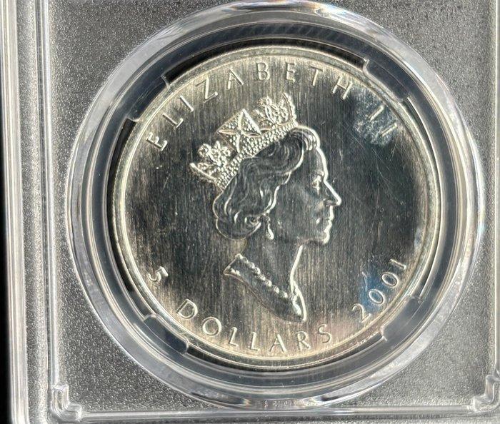 Canada. 5 Dollars 2001 (Zonder Minimumprijs), Postzegels en Munten, Munten | Europa | Niet-Euromunten