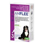 Amflee Spot On Anti Vlooien en Teken Druppels Hond >40 kg 3, Nieuw, Verzenden