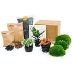 Terrarium pakket - Navulling - Startpakket - DIY, Verzenden
