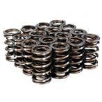Skunk2 Pro Series Honda/Acura B-Series VTEC XP Valve Spring, Ophalen of Verzenden, Nieuw
