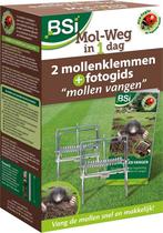 BSI MOL-WEG IN 1 DAG (MOLLEN, PLAAGDIEREN) (PLANT & ZORG), Diensten en Vakmensen, Ongediertebestrijding