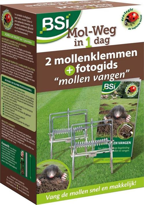 BSI MOL-WEG IN 1 DAG (MOLLEN, PLAAGDIEREN) (PLANT & ZORG), Diensten en Vakmensen, Ongediertebestrijding