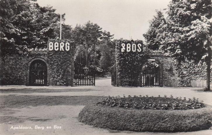 APELDOORN - Berg en Bos, Verzamelen, Ansichtkaarten | Nederland, Verzenden