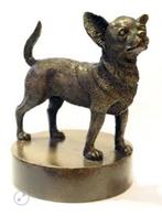 Honden urn verbronsd Chihuahua, Dieren en Toebehoren, Honden-accessoires, Nieuw