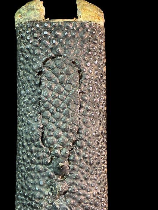 Katana - Hout, Leder - Japan - Late Edo periode (Zonder, Antiek en Kunst, Antiek | Overige Antiek