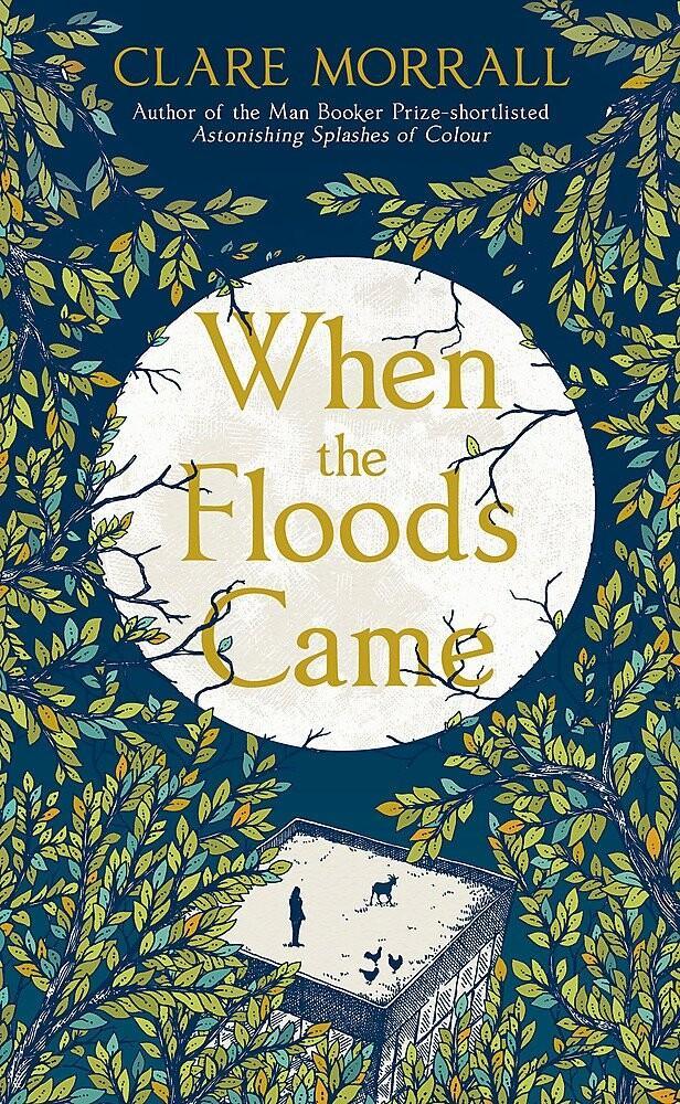 When the Floods Came 9781444736489 Clare Morrall, Boeken, Taal | Engels, Gelezen, Verzenden