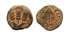 Judaea. Herod Agrippa I (AD 37-44). Prutah (Zonder