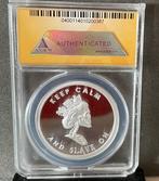 Verenigde Staten. Medal Keep Calm and Slave On proof