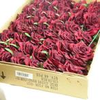 CURVE ROSE CAD Rood Per stuk Flowerwall bruidsboeket, Ophalen of Verzenden, Nieuw