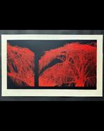 Mokus Jush III - Tanaka Yoshikazu (b 1933) - Japan