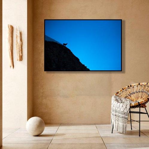 Roberto Cavalli - Into the wild / #726 - XXL, Antiek en Kunst, Kunst | Schilderijen | Modern