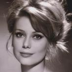 Walter Carone (attribuée à) - Catherine Deneuve 1963
