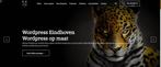 Website / Webshop laten maken €299,-!! Beste ontwerp!