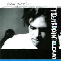 cd - Rod Picott - Tiger Tom Dixons Blues, Cd's en Dvd's, Cd's | Overige Cd's, Zo goed als nieuw, Verzenden