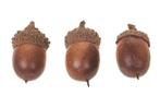 Eikeltjes los kunst 2. 5 cm. 24 st Eikeltjes, Ophalen of Verzenden, Nieuw